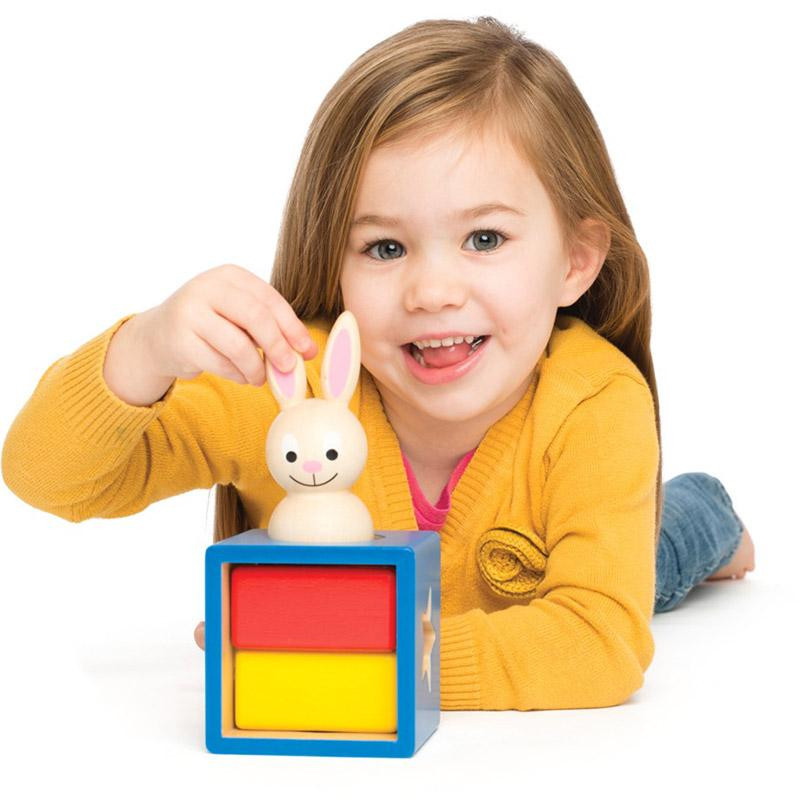 Jeu de logique - Lapin Magicien