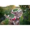 Déguisement Cape de Tricératops Grandasaurus avec griffes 4-6 ans