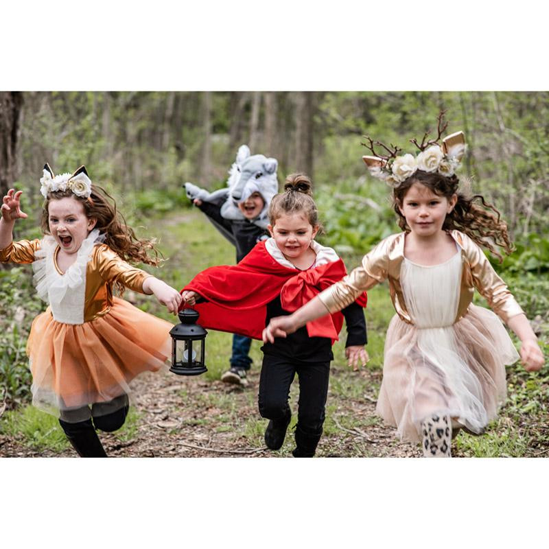 Déguisement cape Loup des bois 2-4 ans
