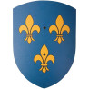 Bouclier en bois Fleur de Lys courbé jouet bois Vah