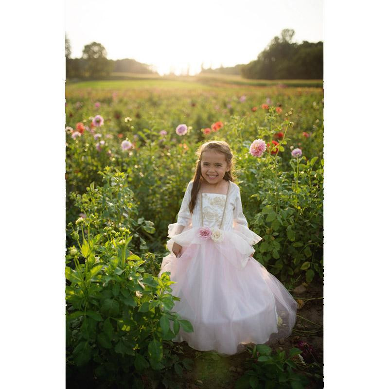 Déguisement robe de Princesse rose pâle et or