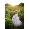 Déguisement robe de Princesse rose pâle et or