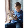 Carrousel, maquette en bois à assembler Ugears