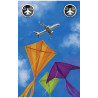 Kites - jeu coopératif