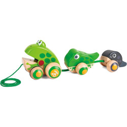 Famille de Grenouilles à trainer jouet bébé Hape