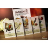 Rebelles Princesses -Jeu de plis Gigamic