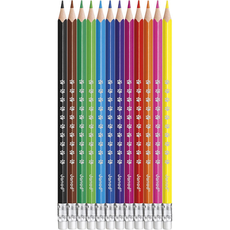 Crayons effaçables x12 jeu bois Janod