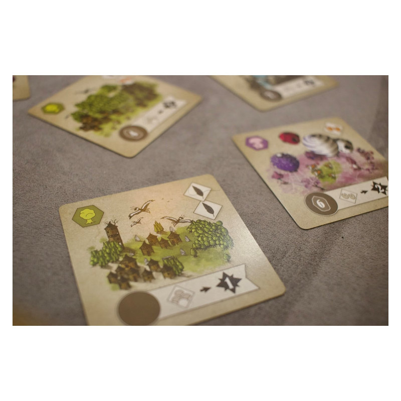Rauha - Jeu de draft et de stratégie