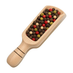 Pelle à Sel & Épices en Hêtre – Grand Modèle (17 cm)