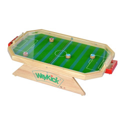 Weykick stadium fix - Vitre en plexiglass