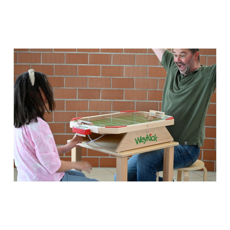 Weykick stadium fix - Vitre en plexiglass