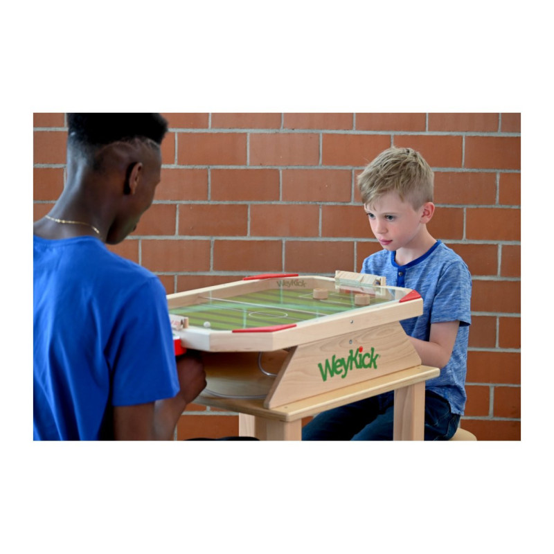 Weykick stadium fix - Vitre en plexiglass