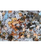 Puzzles en carton