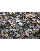 Puzzle Ado/Adulte