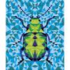 Kit Créatif - Peinture au Numéro - Les Insectes